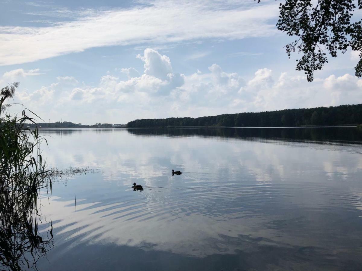 Family Sauna Retreat: Lesny Lakeside