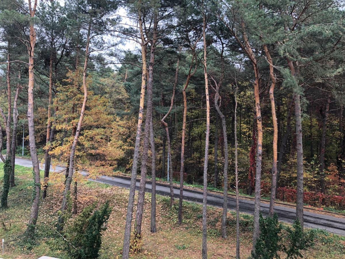 Apartment Family Sauna Retreat: Lesny Lakeside Kielce
